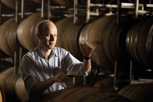 wine maker testing wine from barrel. Learn how to taste wine