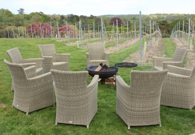 Chairs around fire in first UK Pinotage vineyard