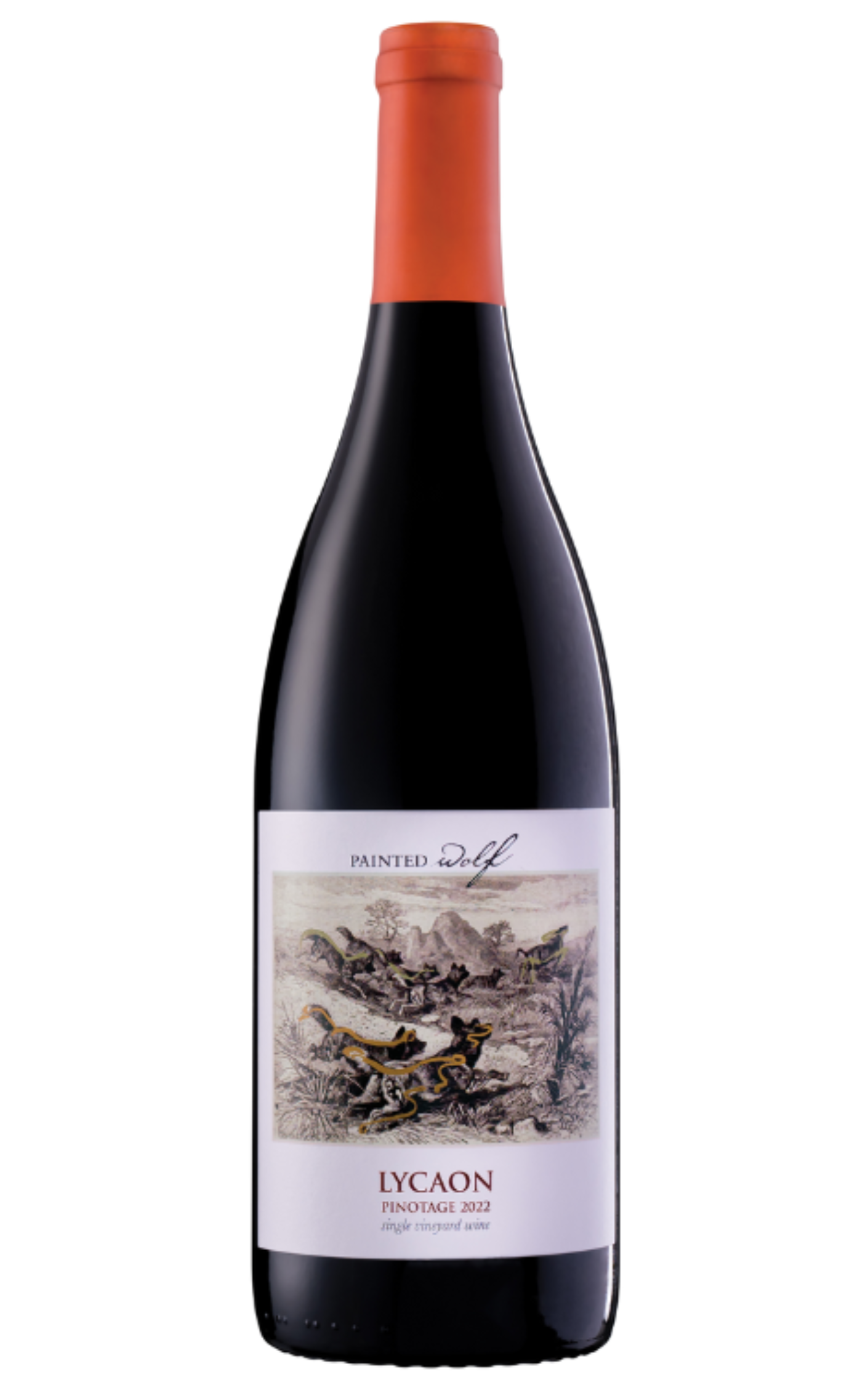 Painted Wolf Lycaon Pinotage